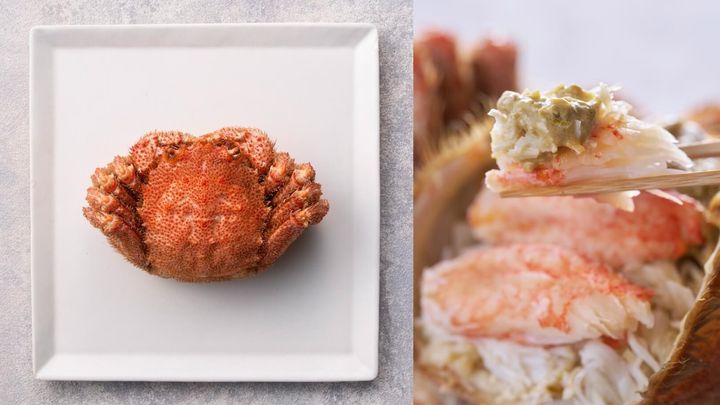 毛ガニの旬はいつ？旬の見極め方から通販で絶品の毛ガニを購入する方法まで徹底解説
