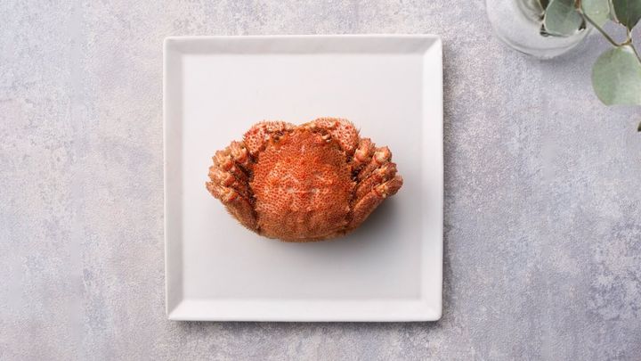 失敗せずに毛ガニを通販で購入する方法を徹底解説！