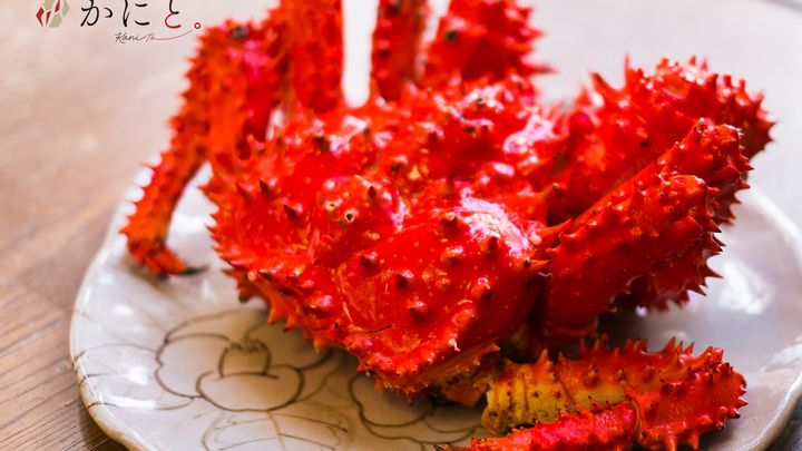 北海道産の花咲ガニの値段と通販の選び方｜かにと。は旬の旨みをそのままお届け